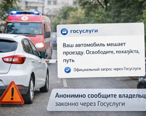 Как через Госуслуги сообщить владельцу авто, что он перекрыл проезд
